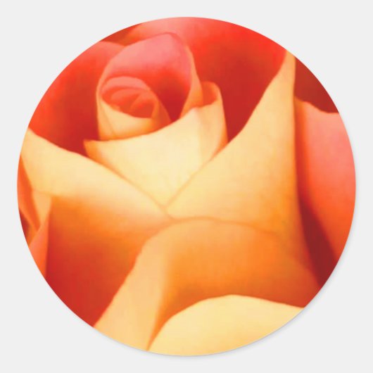 ピーチバラ封筒用シールシール ラウンドシール (正面)