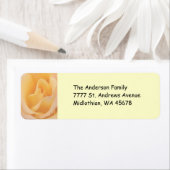 ピーチバラ差出人住所ラベル ラベル (インサイチュ)