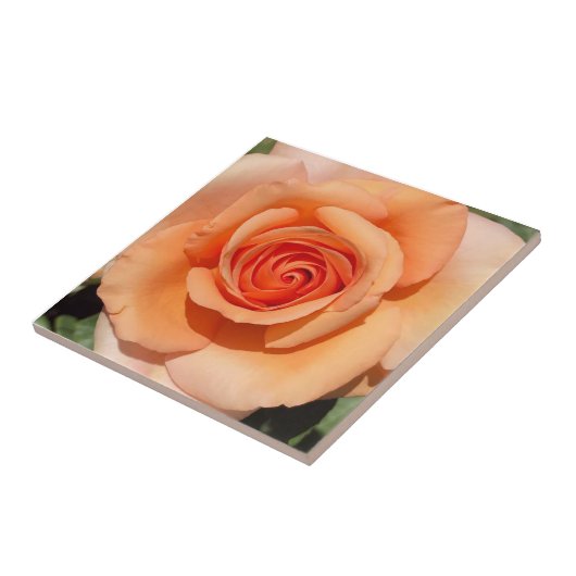 ピーチバラ タイル (側面)