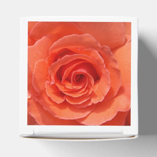 ピーチバラ フェイバーボックス (上部)