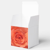 ピーチバラ フェイバーボックス (オープン)