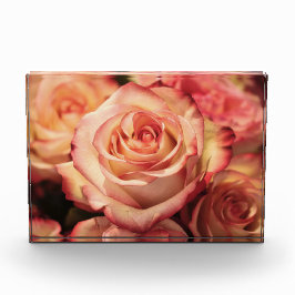 ピーチバラ フォトブロック