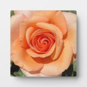 ピーチバラ フォトプラーク (正面)