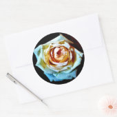 ピーチバラ ラウンドシール (封筒)