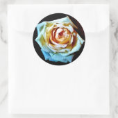 ピーチバラ ラウンドシール (バッグ)