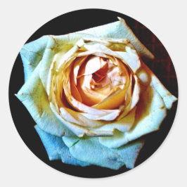 ピーチバラ ラウンドシール