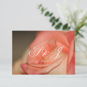 ピーチバラwithサンゴ 招待状 (スタンド正面)