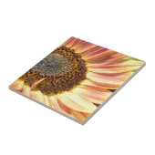 ピーチヒマワリ タイル (側面)