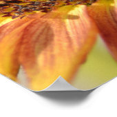 ピーチヒマワリ ポスター (角)