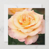 ピーチピンクのバラの花 80歳の誕生日パーティー 招待状 (裏面)
