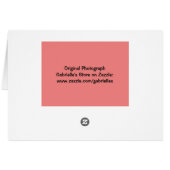 ピーチピンクローズ空白のノートカード (裏面横)