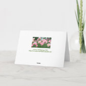 ピーチピンク、ピンク、白の牡丹 カード (裏面)