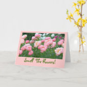 ピーチピンク、ピンク、白の牡丹 カード (黄色い花)