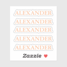 ピーチファズカットアウトシール付きネームシール シール