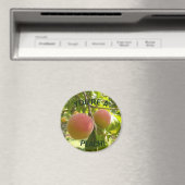 ピーチフォト文字あなたはアピーチ マグネット (インサイチュ (食洗機))