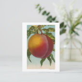 ピーチフルーツステートのフルーツクロモリトグラフ ポストカード (スタンド正面)