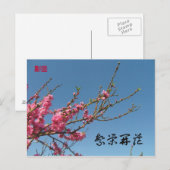 ピーチブロッサムツリー ポストカード (正面/裏面)