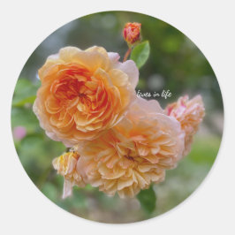 ピーチローズも ラウンドシール