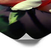 ピーチローズブドフラワークローズアップ鏡抽象芸術 ポスター (角)