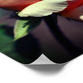 ピーチローズブドフラワークローズアップ ポスター (角)