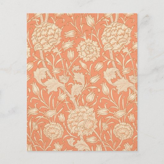 ピーチワイルドチューリップWilliam Morris (正面)