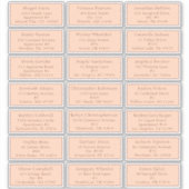 ピーチヴィンテージ秋ベビーシャワーゲストアドレス シール (正面)