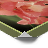 ピーチ淡い色のグラジオラスフラワー鏡抽象芸術 ポスター (角)