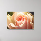 ピーチ淡い色のバラキャンバスプリント キャンバスプリント (正面)