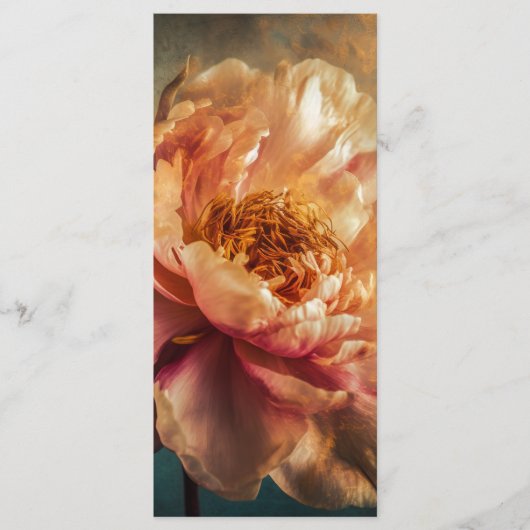 ピーチ美しい メニュー (正面)