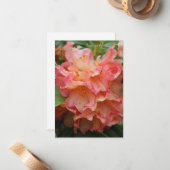ピーチ色シャクナゲ ノートカード (正面/裏面インサイチュ)