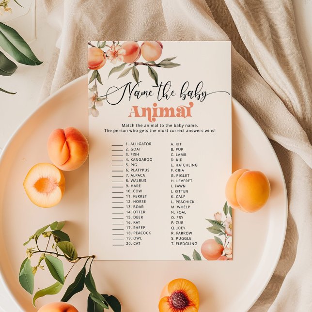 ピーチ赤ちゃん動物の赤ちゃんシャワーゲームに名前を付ける (クリエイターアップロード済み)