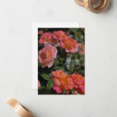 ピーチ、サーモン色のバラ ノートカード (正面/裏面インサイチュ)