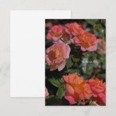 ピーチ、サーモン色のバラ ノートカード (正面/裏面)