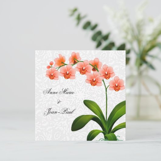 ピーチ·ファレノプシスのランとレースの結婚式への招待 招待状 (スタンド正面)