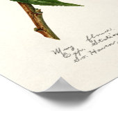 ピーチ（プルーヌスプレシカ）フルーツウォーター絵画の色 ポスター (角)