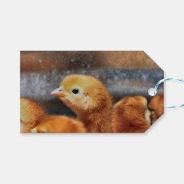 ピーッと鳴る ギフトタグ