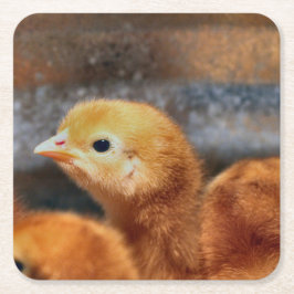 ピーッと鳴る スクエアペーパーコースター