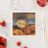 ピーッと鳴る スタンダードカクテルナプキン (インサイチュ)