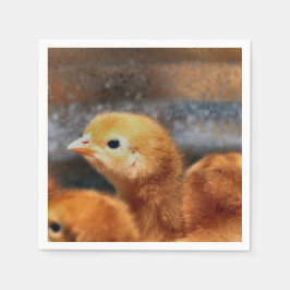 ピーッと鳴る スタンダードカクテルナプキン