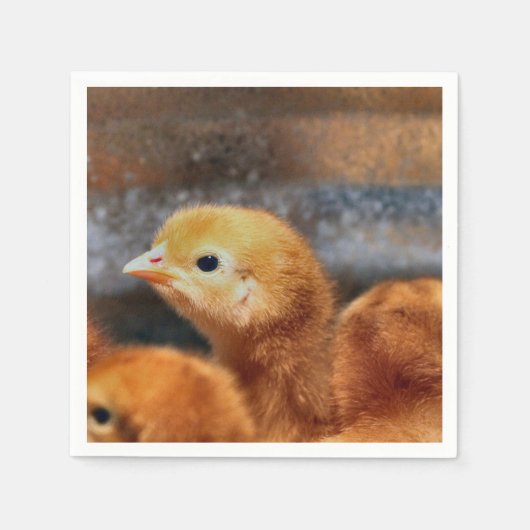 ピーッと鳴る スタンダードカクテルナプキン (正面)