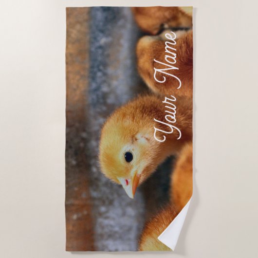 ピーッと鳴る ビーチタオル (正面)