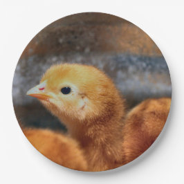 ピーッと鳴る ペーパープレート