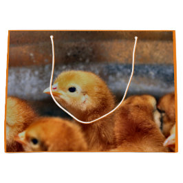 ピーッと鳴る ラージペーパーバッグ