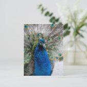 ピーッ誇りを持ったク ポストカード (スタンド正面)