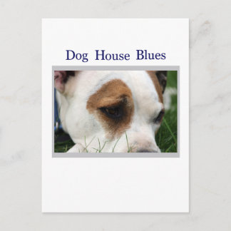 ピート・ピット1 ポストカード