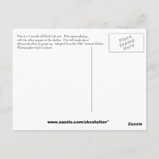 ピート ポストカード (裏面)