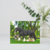 「ピーナッツとブラックバード」 ポストカード (スタンド正面)