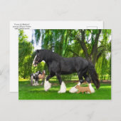 「ピーナッツとブラックバード」 ポストカード (正面/裏面)