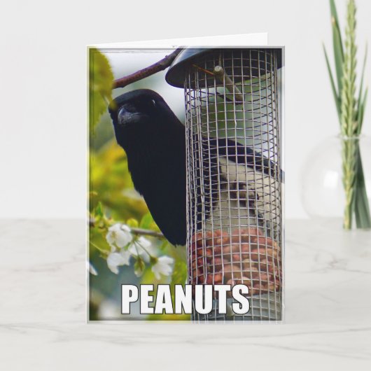 ピーナッツまたはケーキマグピー誕生日カード カード (正面)