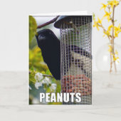 ピーナッツまたはケーキマグピー誕生日カード カード (黄色い花)